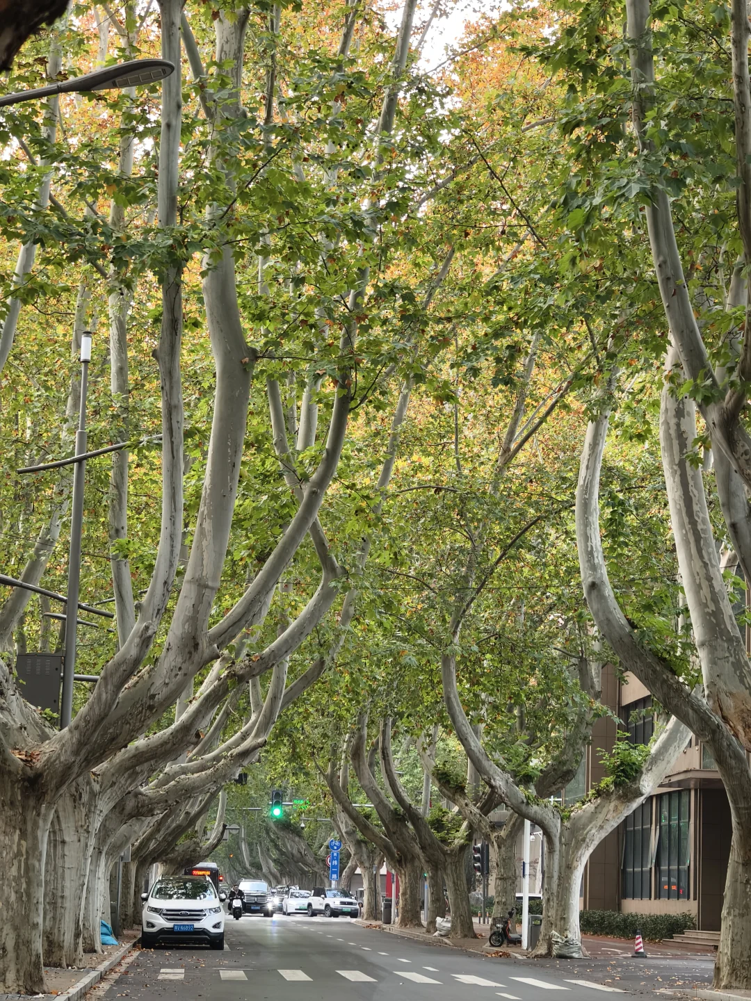 郑州，一种很北方的通感