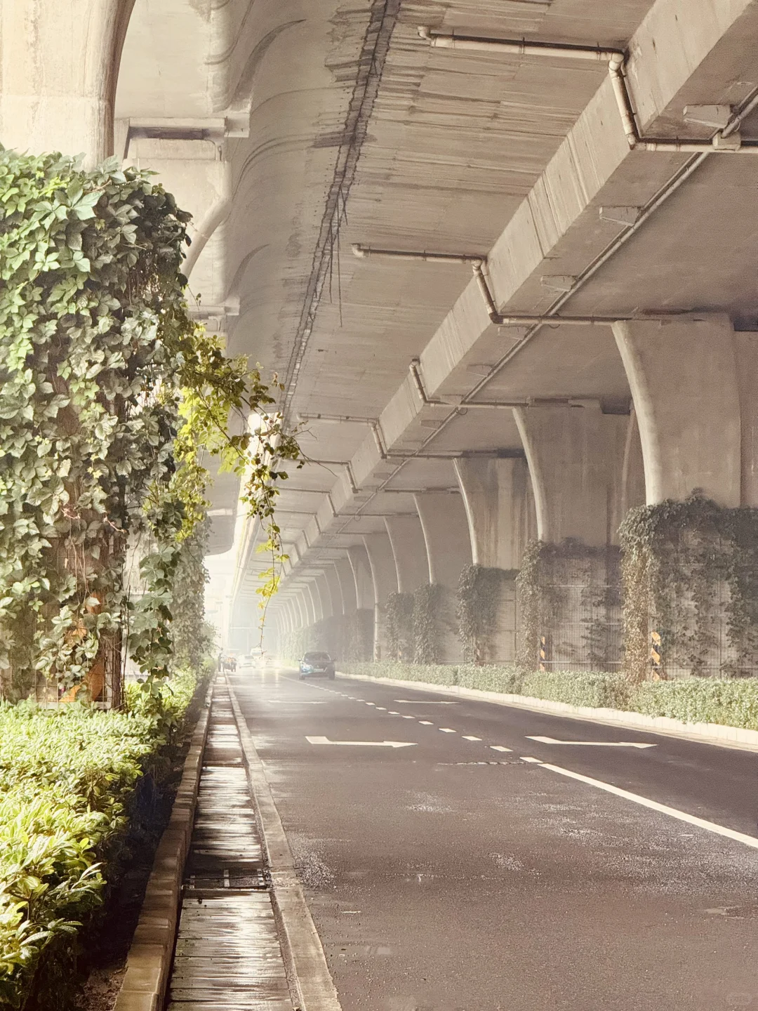 今天冒着雨拍郑州街景，风景不输江南！