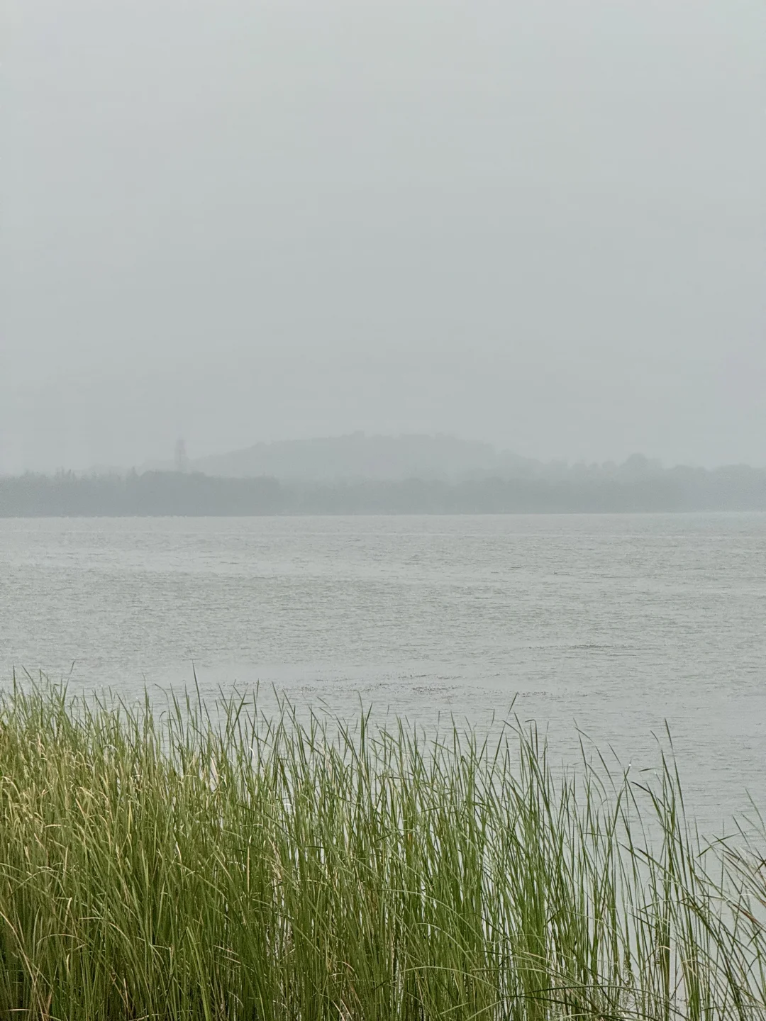 今天冒着雨拍郑州街景，风景不输江南！
