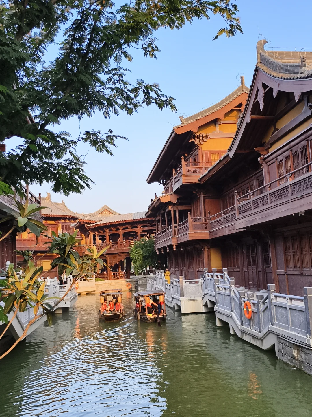 郑州1h，我闯进了免费的诗经里！