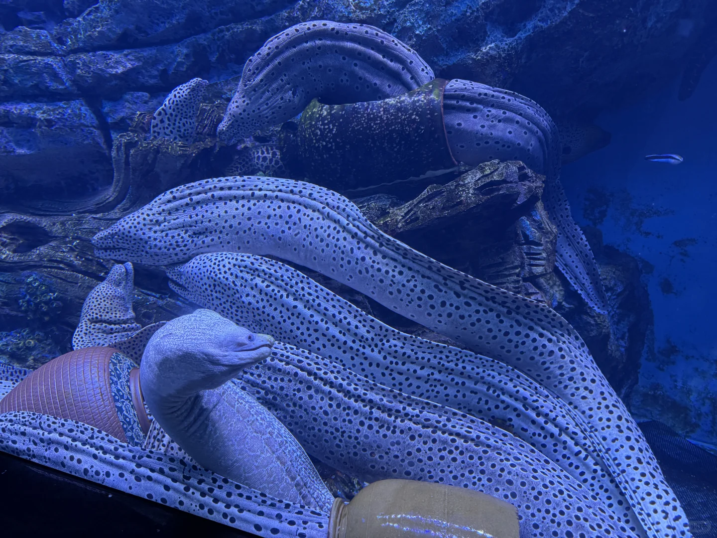 郑州海昌，五星好评