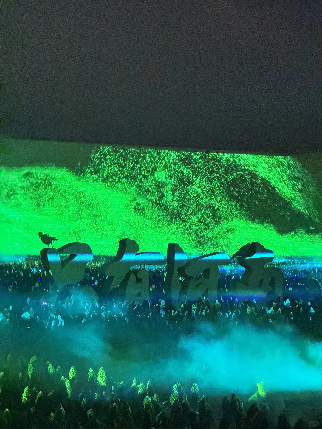 第一次到河南郑州！我只去了这里！