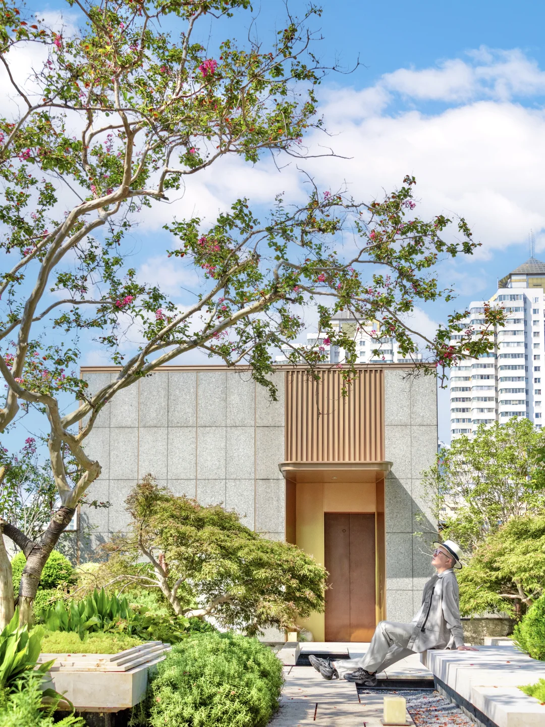 不输南京❗秋天的郑州梧桐大道像梦中场景