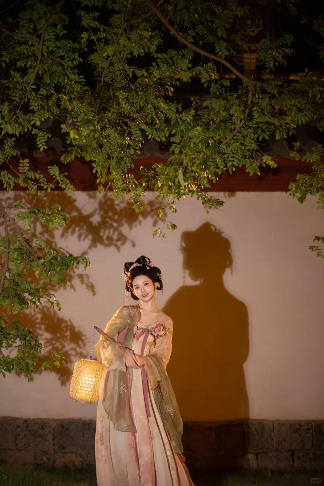 在洛阳花一百多拍的太惊艳啦！！！