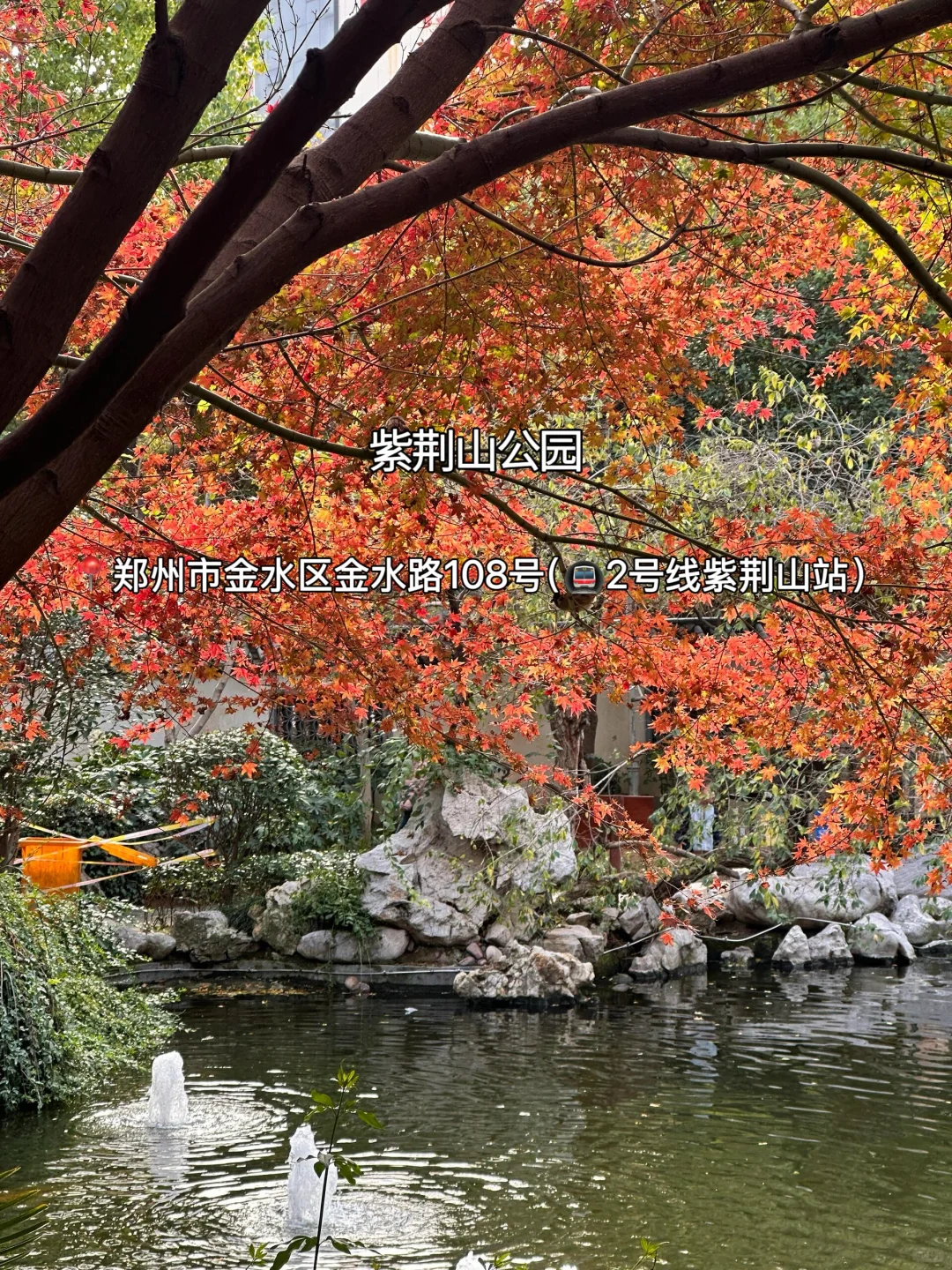 赏秋指南🍂在郑州必逛的12个秋日好去处‼️