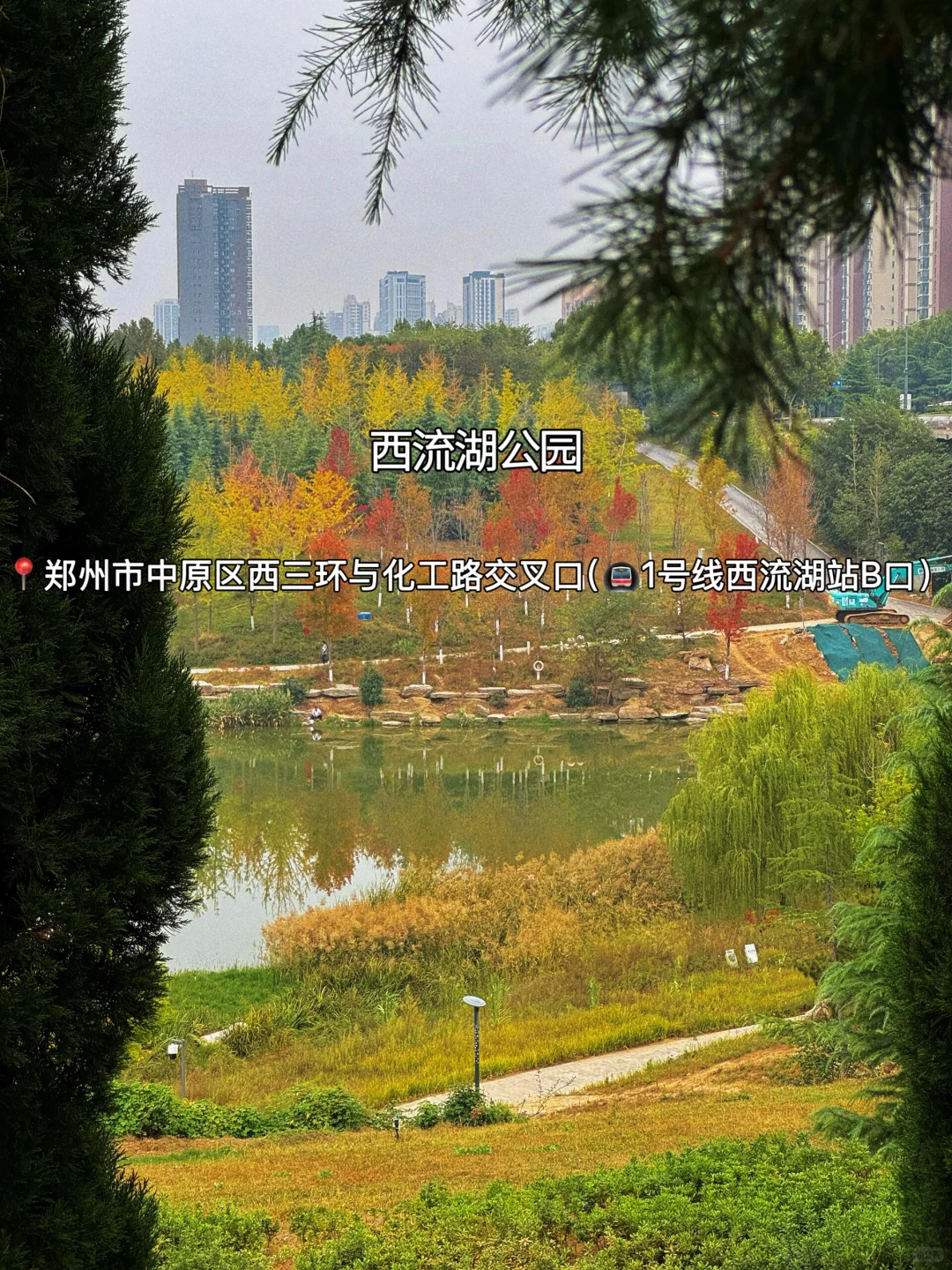 赏秋指南🍂在郑州必逛的12个秋日好去处‼️