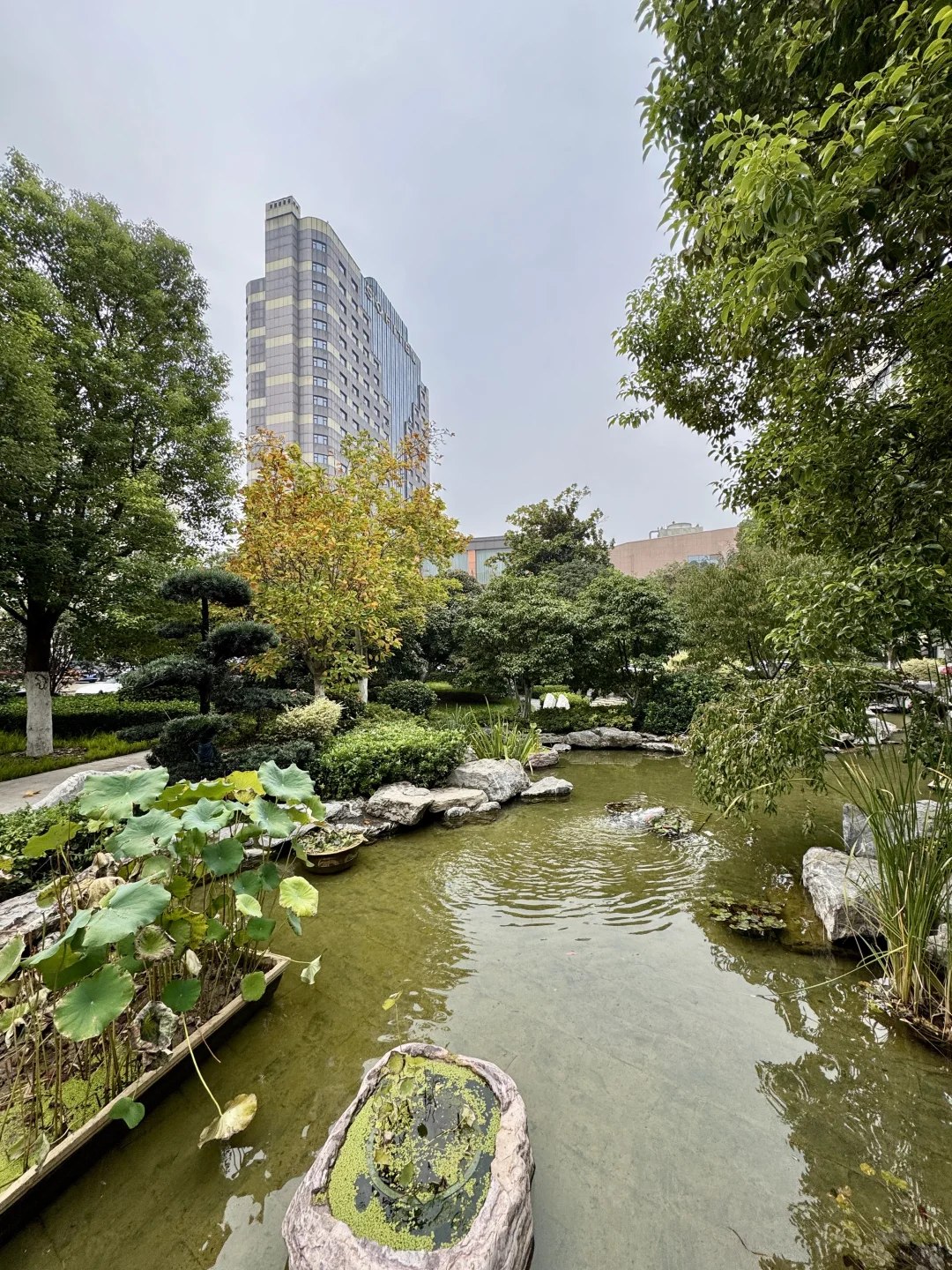 郑州不愧是北方第一省会，城建品质越来越好！