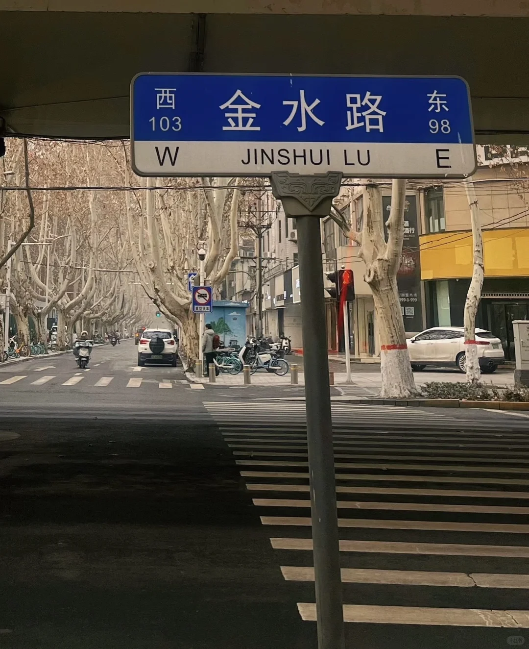 秋日浪漫🌹在金水路被法桐美到破防🍂