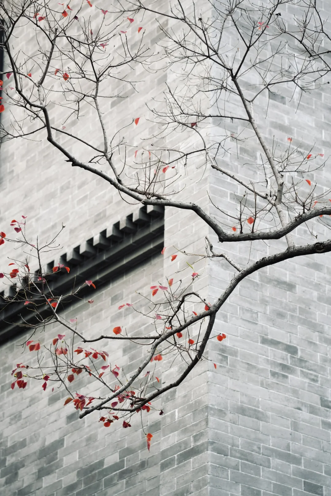 别问了，在郑州🍂