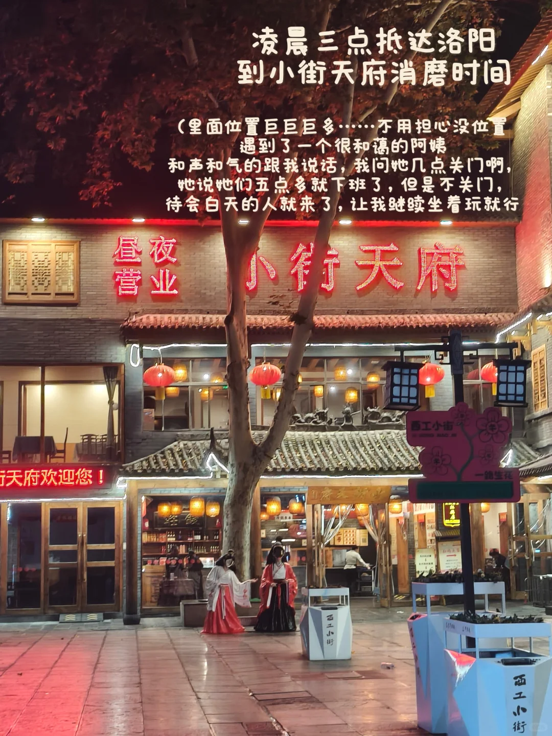 旅行plog🏮洛阳篇:一个人的走走停停