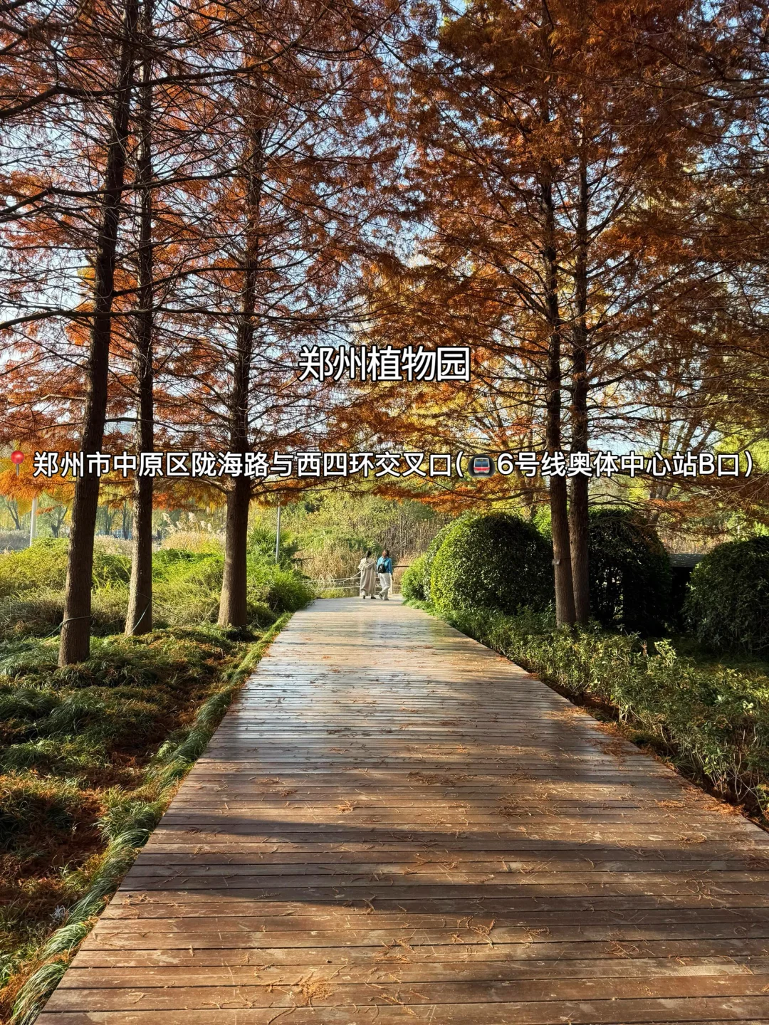 赏秋指南🍂在郑州必逛的12个秋日好去处‼️