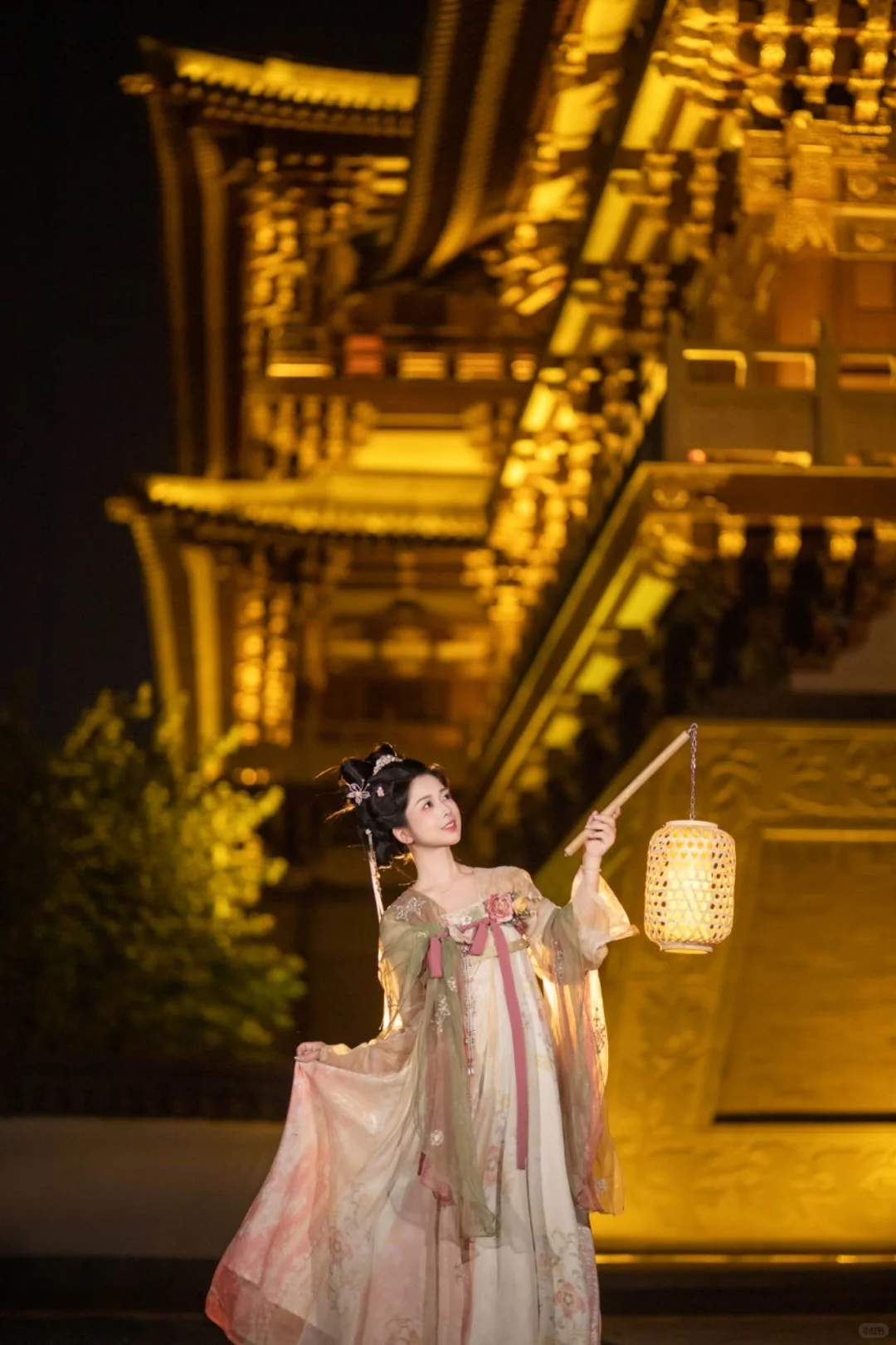 在洛阳花一百多拍的太惊艳啦！！！