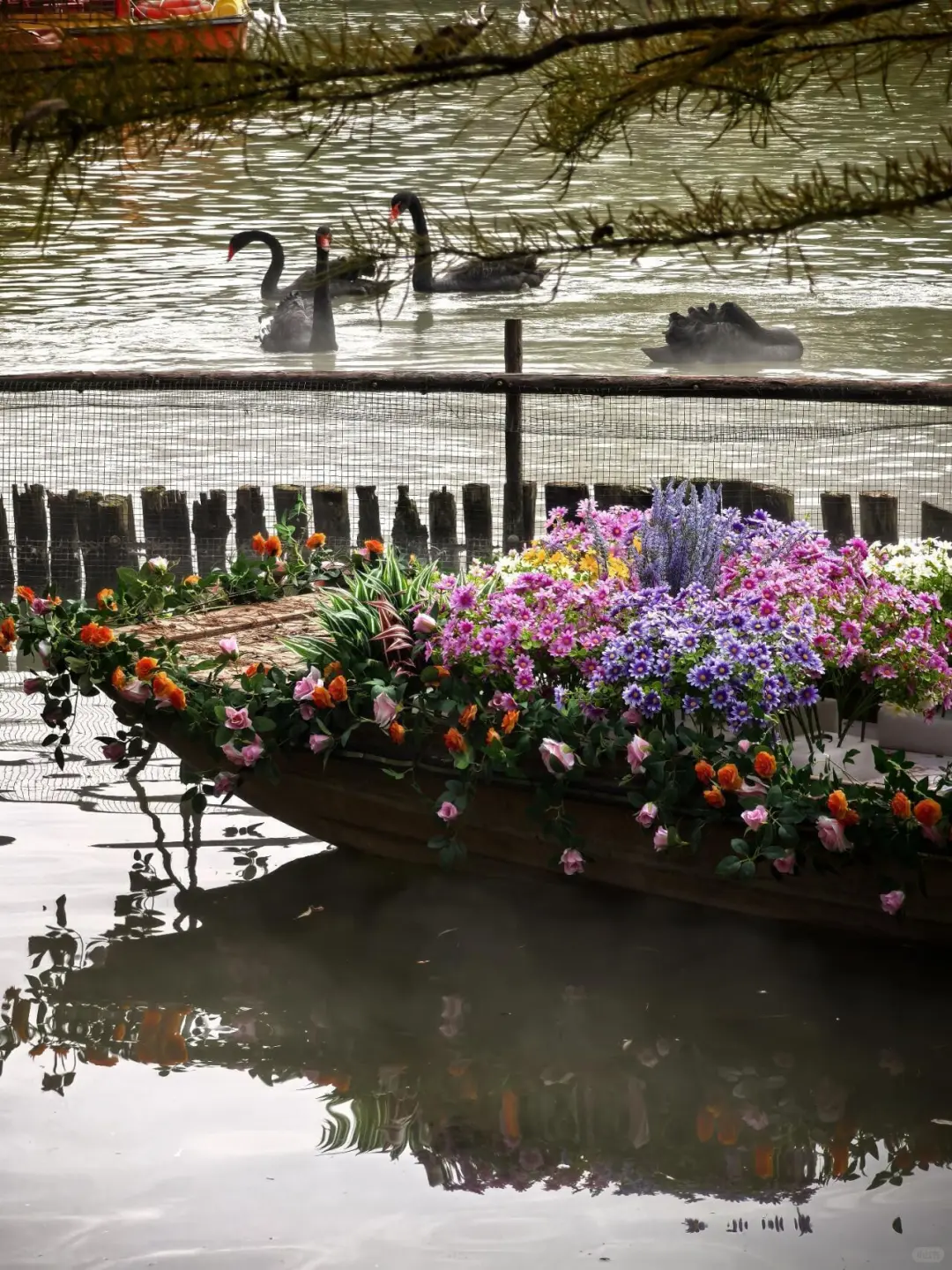 洛阳丝滑不排队攻略