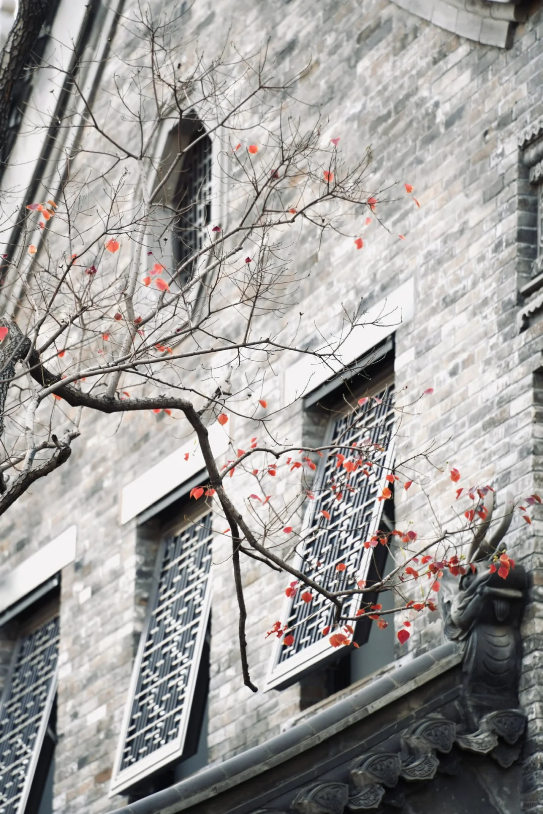 别问了，在郑州🍂