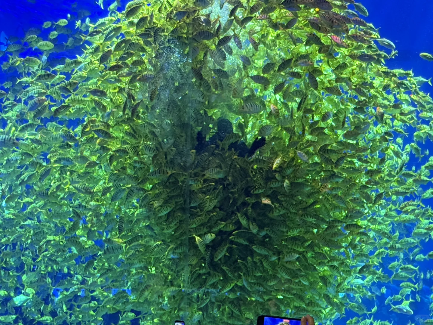 郑州海昌，五星好评