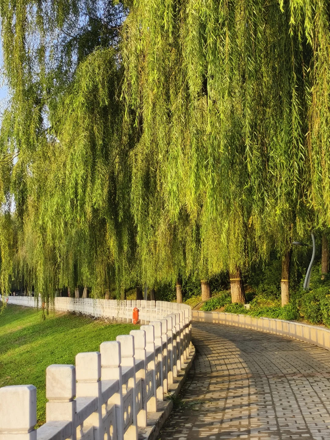 郑州，一种很北方的通感