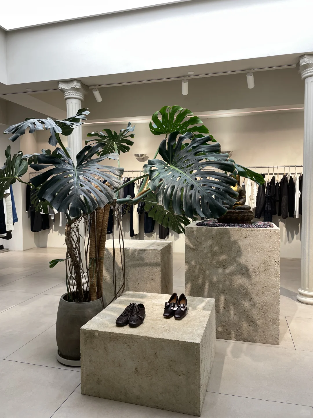 郑州东区买手店👀花艺陈列更新记录