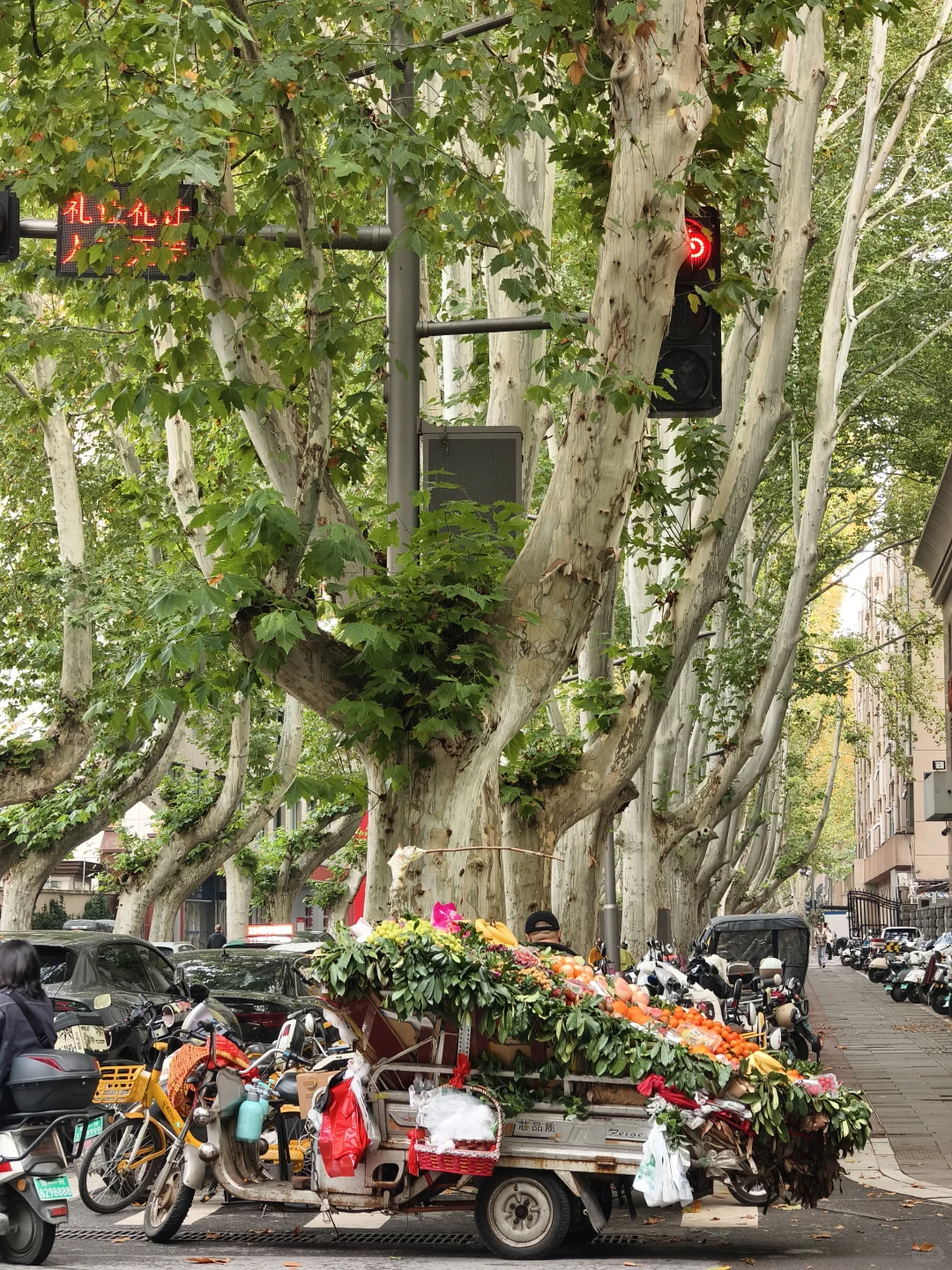 郑州，一种很北方的通感