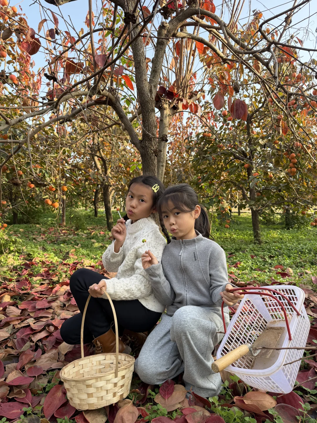 洛阳这个地方也太适合遛娃了吧！