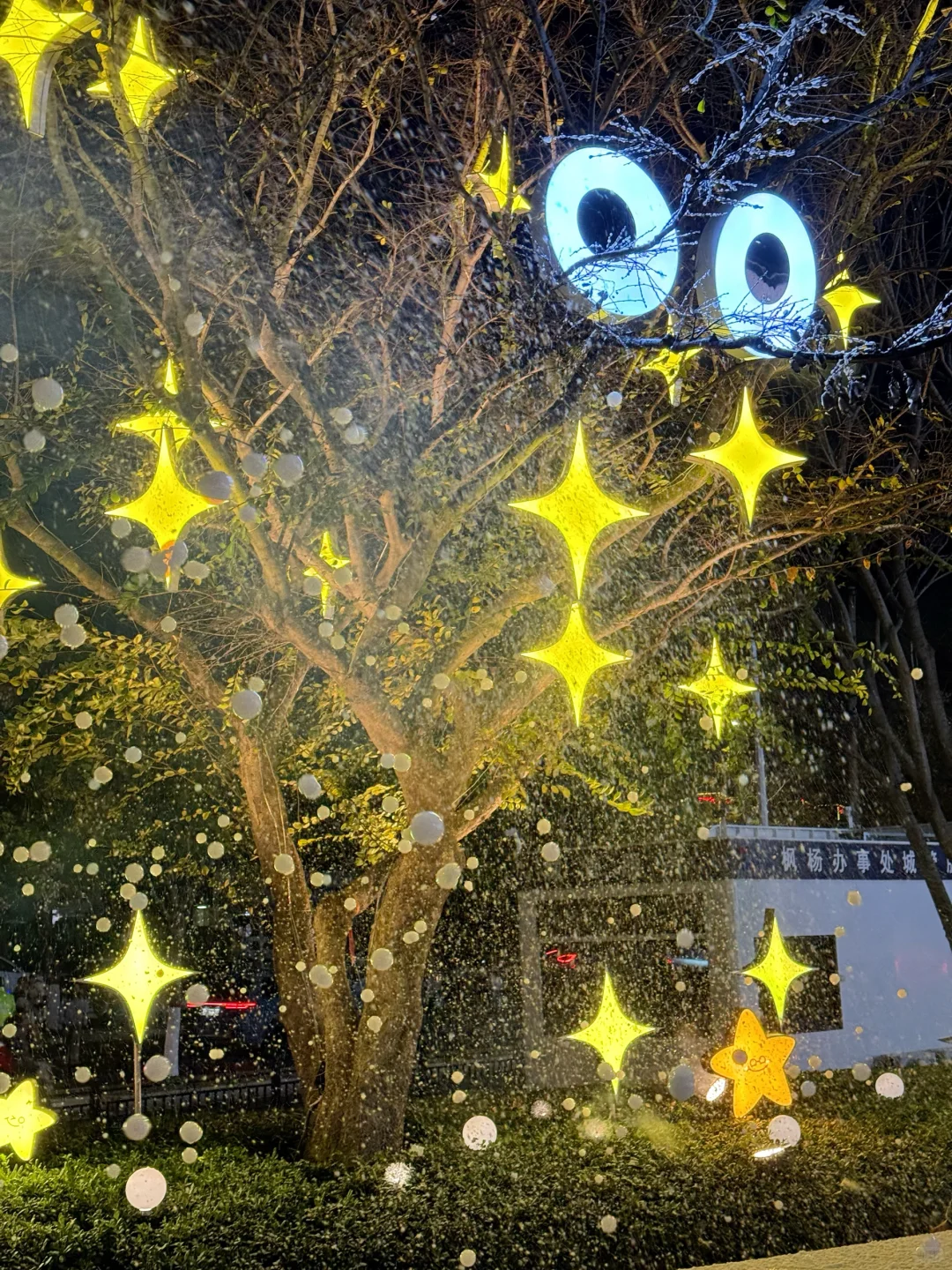 11.16郑州局部暴雪！！！太是冬天那味了！！