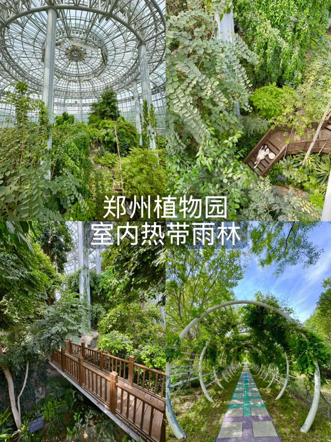 来郑州看这一篇就够了！！（本地人版🤬！