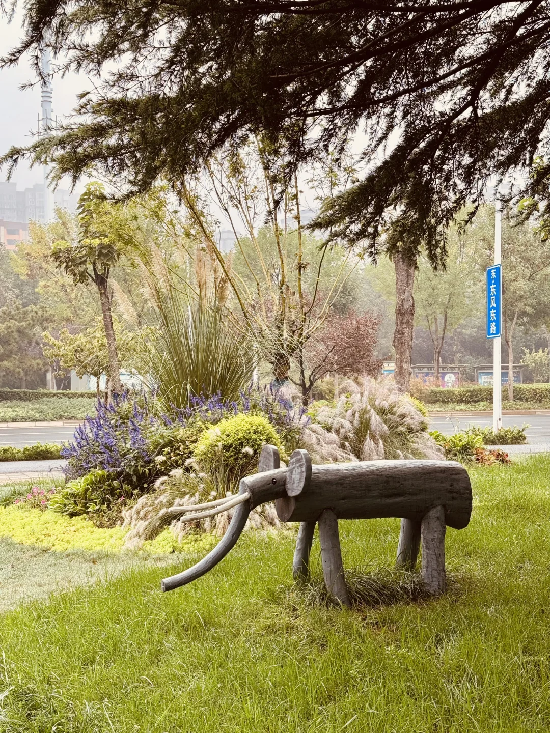 今天冒着雨拍郑州街景，风景不输江南！