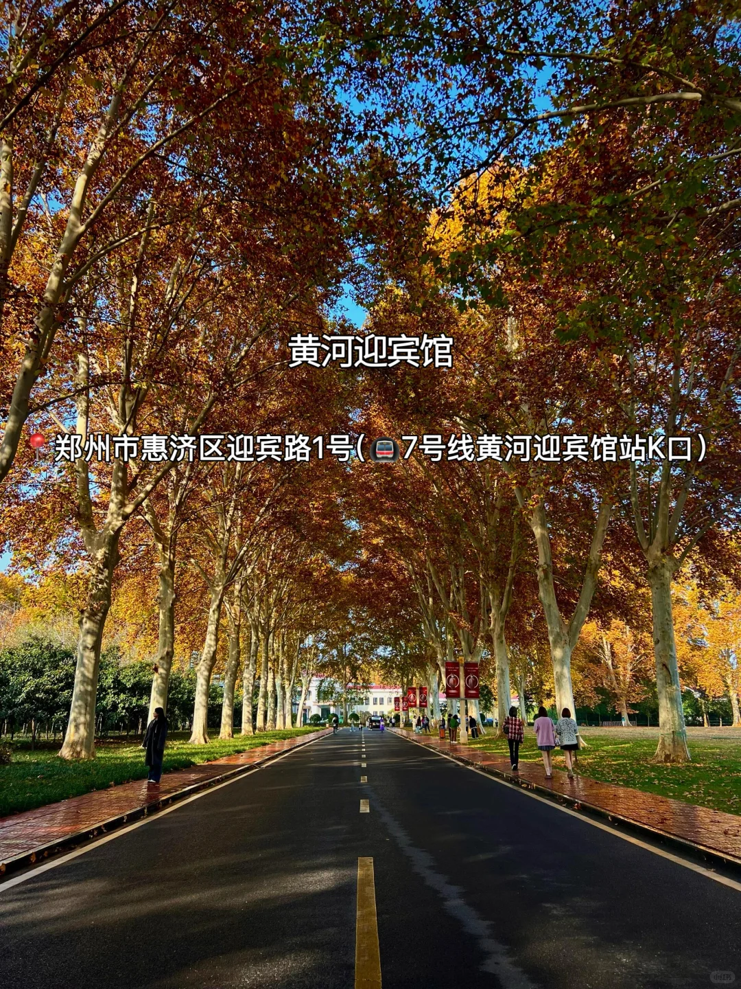 赏秋指南🍂在郑州必逛的12个秋日好去处‼️
