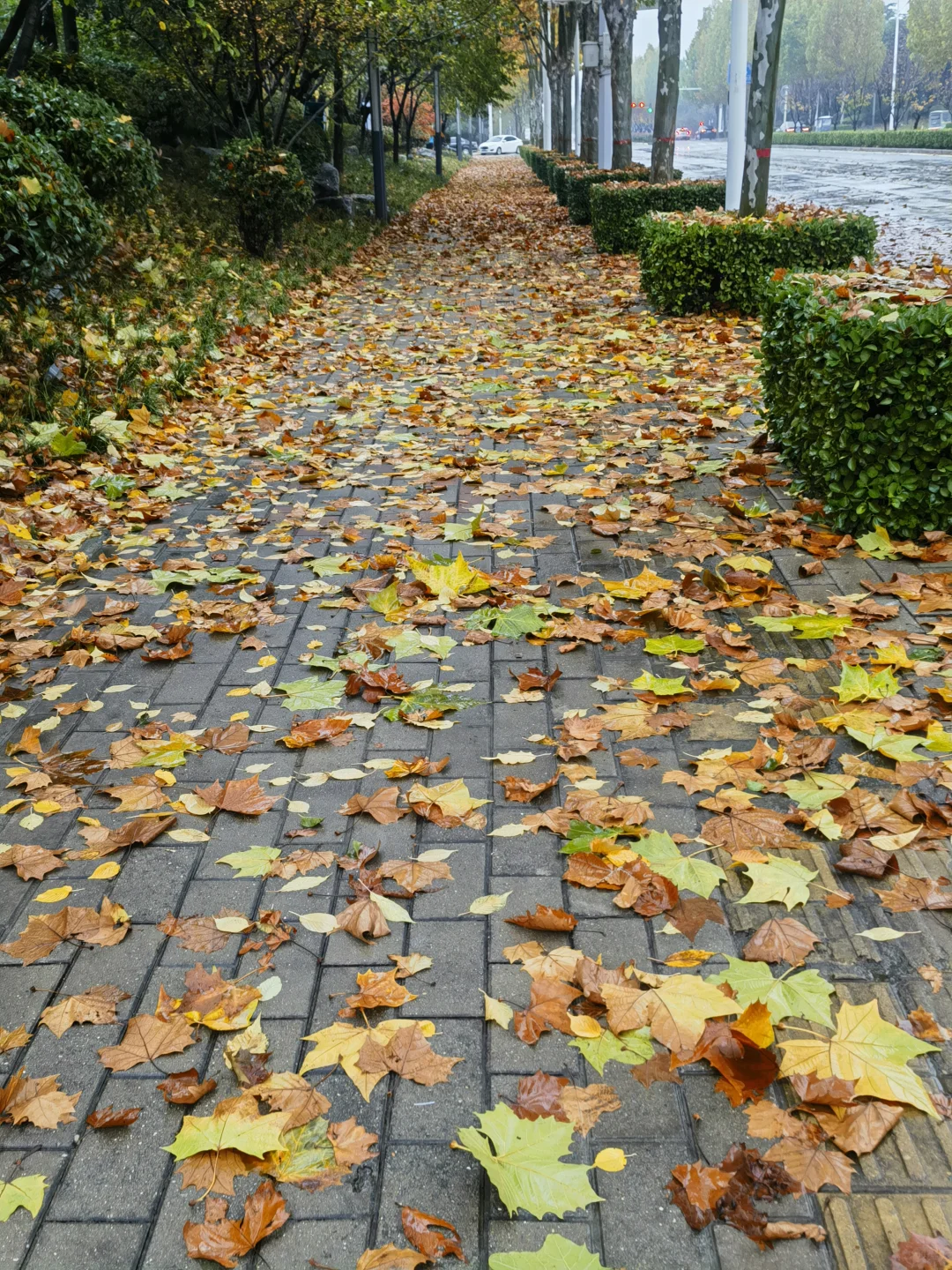 郑州满地贴纸，美哉！