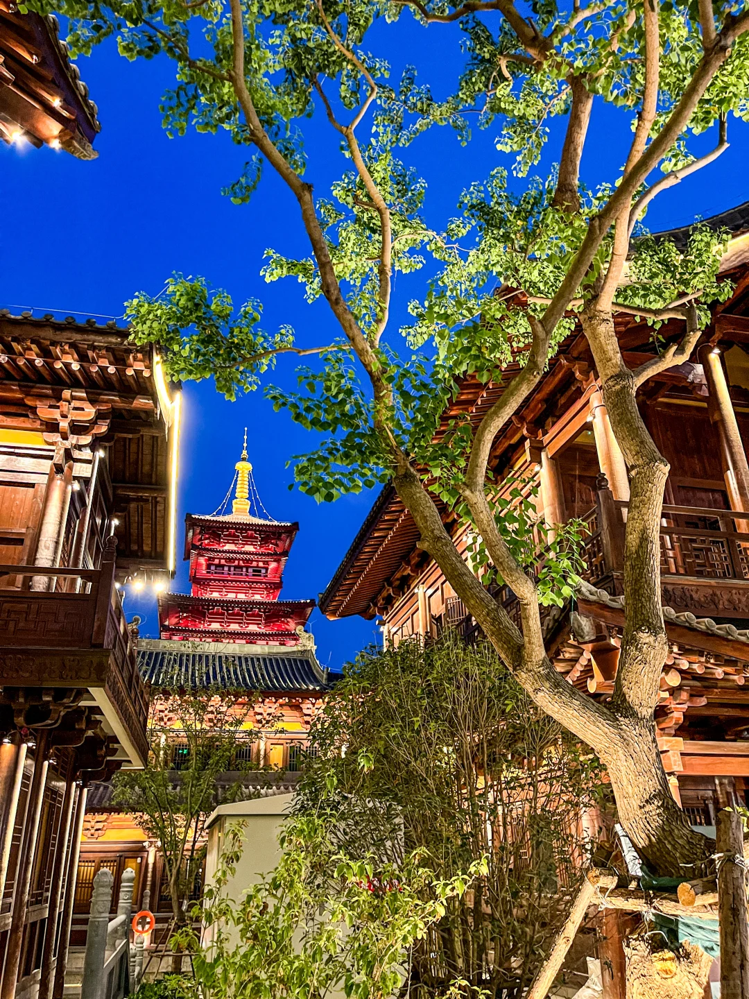 郑州｜你嘴真严，藏着这么好玩的地方不说‼️