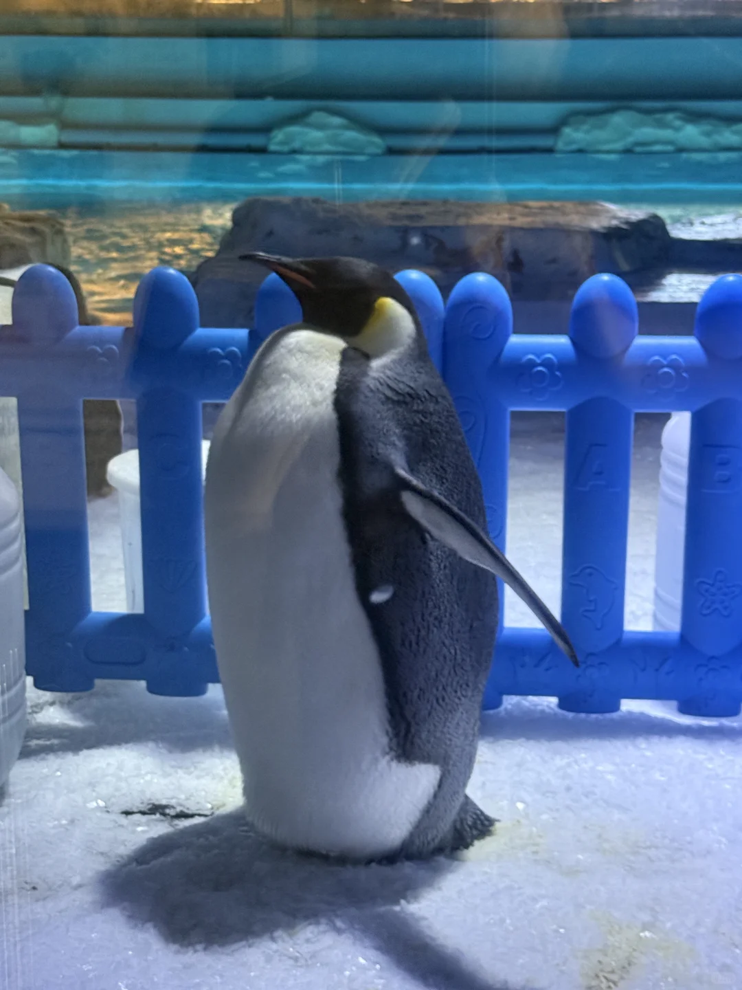 郑州海昌，五星好评