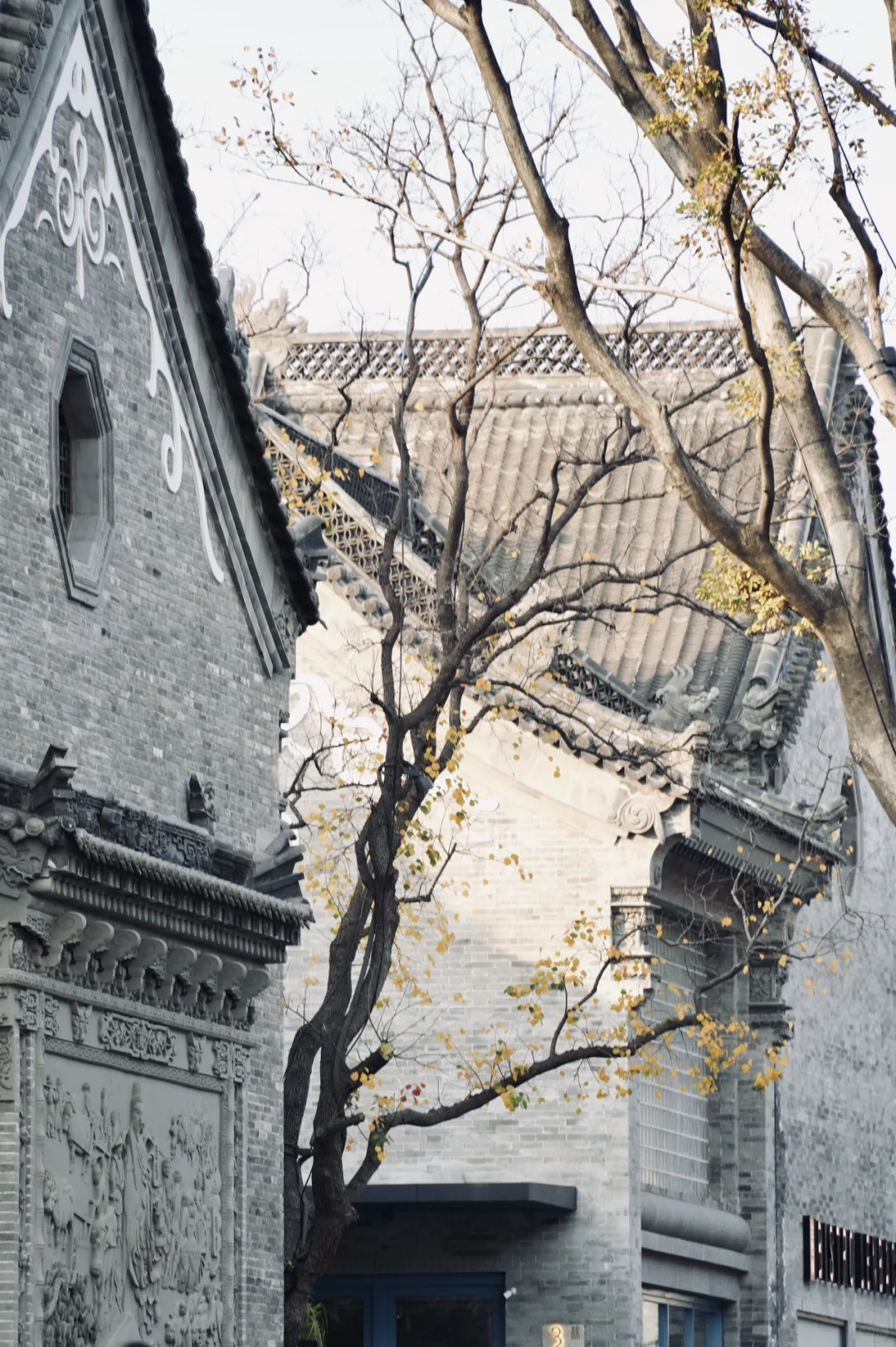 别问了，在郑州🍂