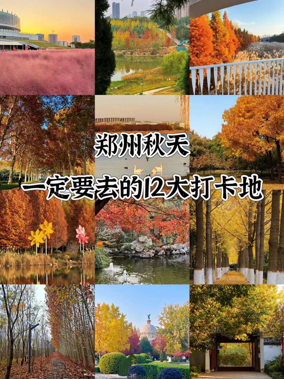 赏秋指南🍂在郑州必逛的12个秋日好去处‼️