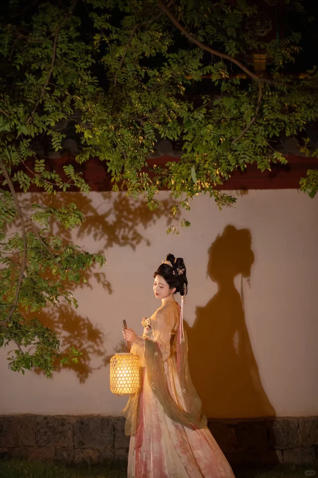 在洛阳花一百多拍的太惊艳啦！！！