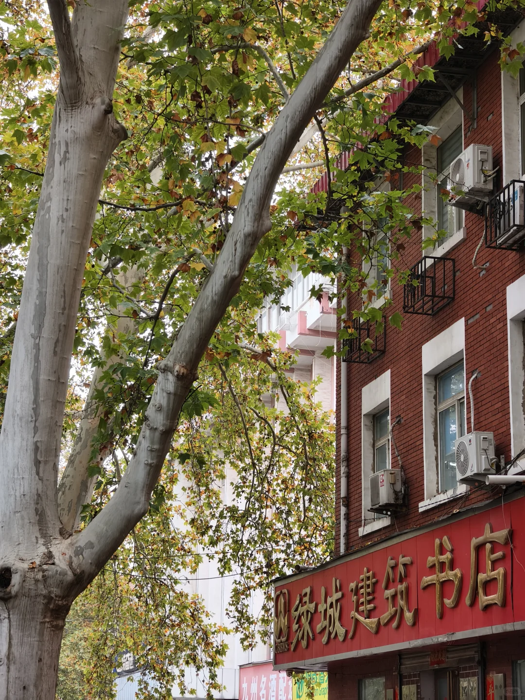 郑州，一种很北方的通感