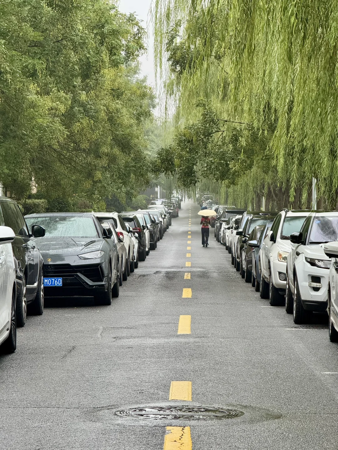 今天冒着雨拍郑州街景，风景不输江南！