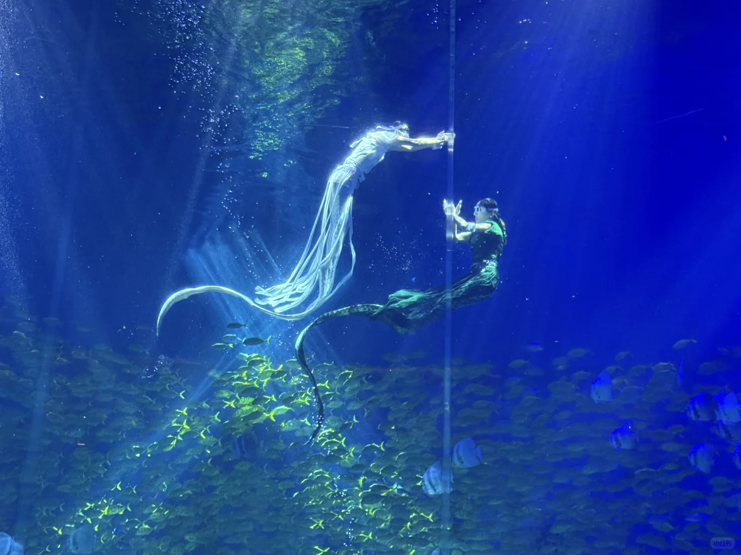 郑州海昌，五星好评