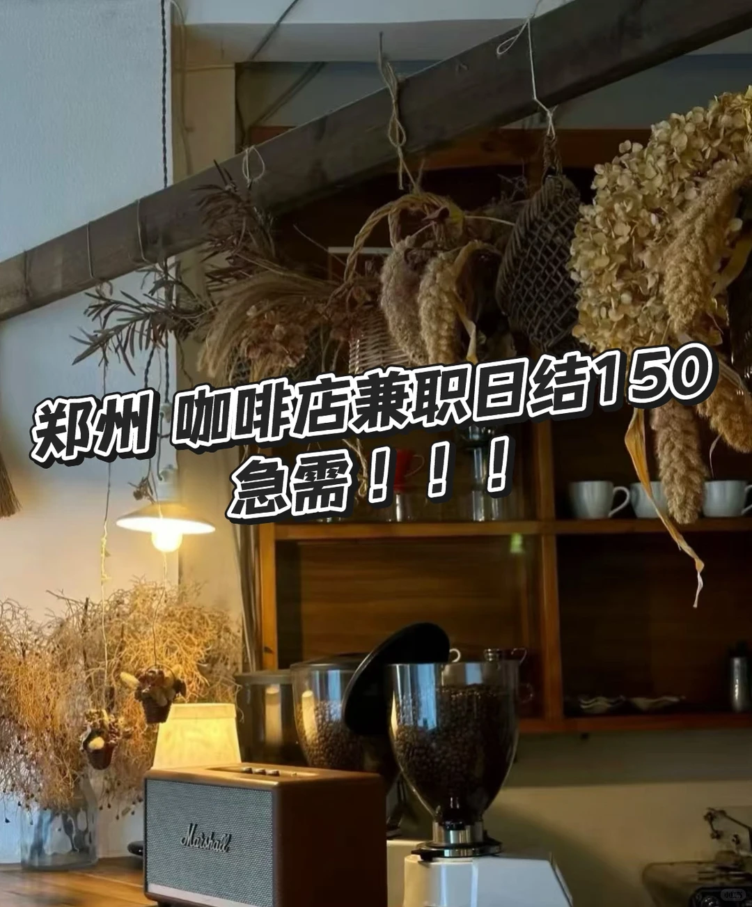 郑州咖啡脑袋狂喜！咖啡店兼职也太香了☕️