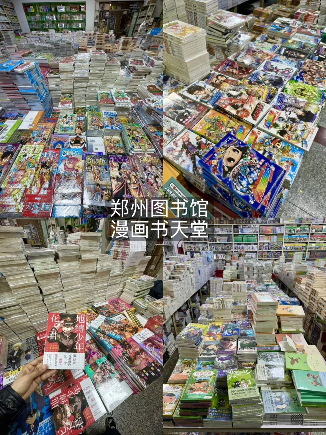 来郑州看这一篇就够了！！（本地人版🤬！