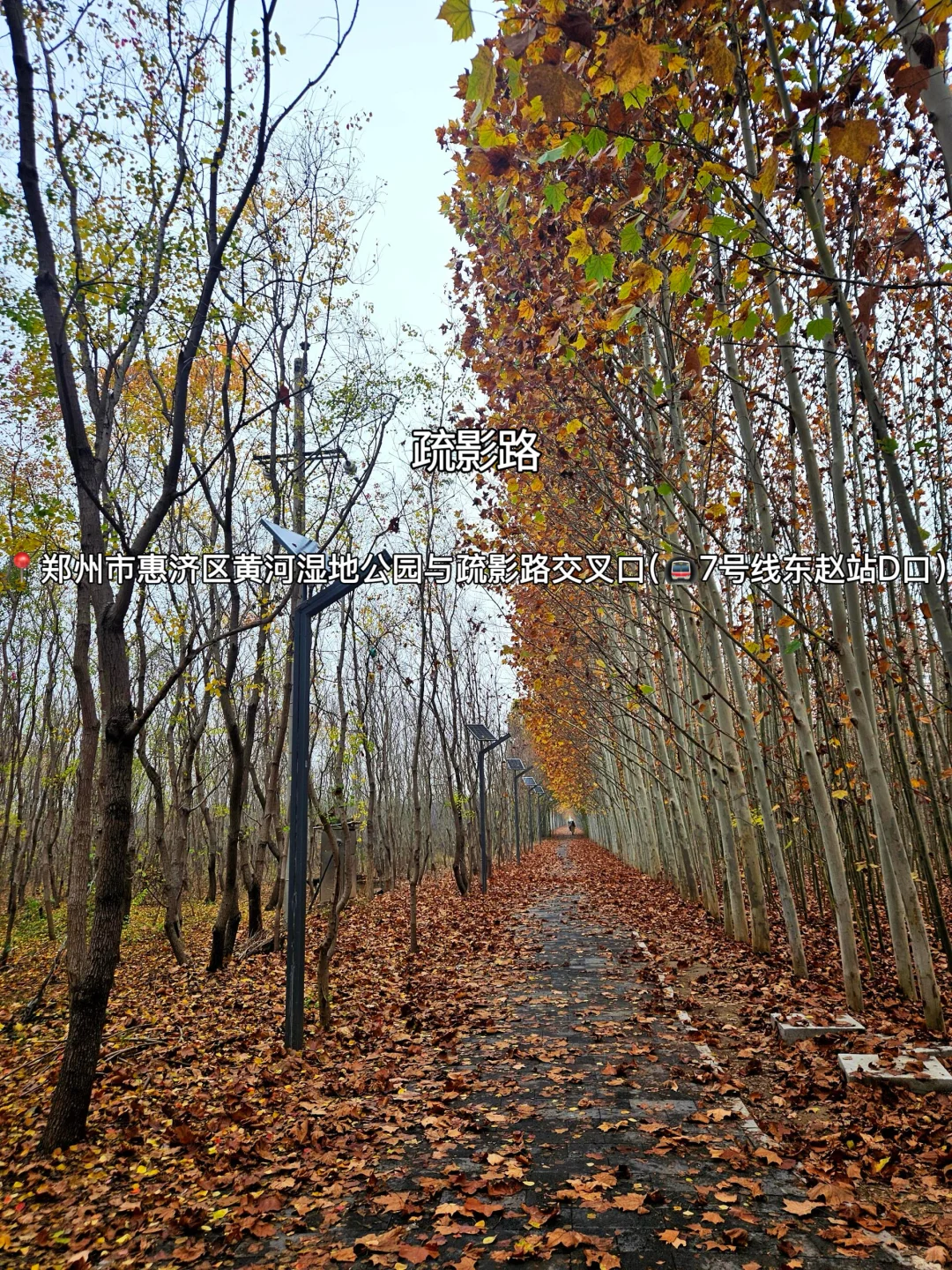 赏秋指南🍂在郑州必逛的12个秋日好去处‼️