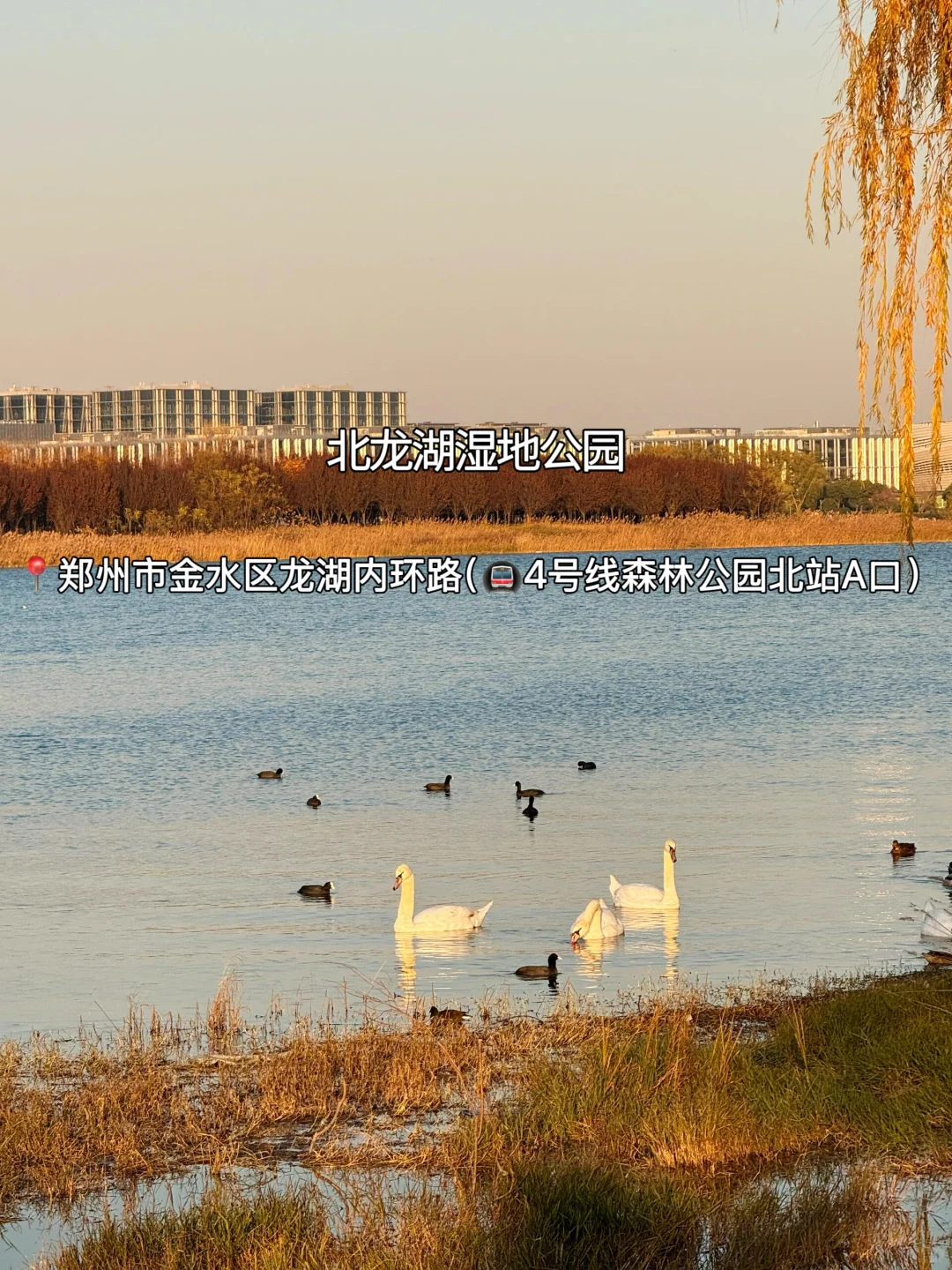 赏秋指南🍂在郑州必逛的12个秋日好去处‼️