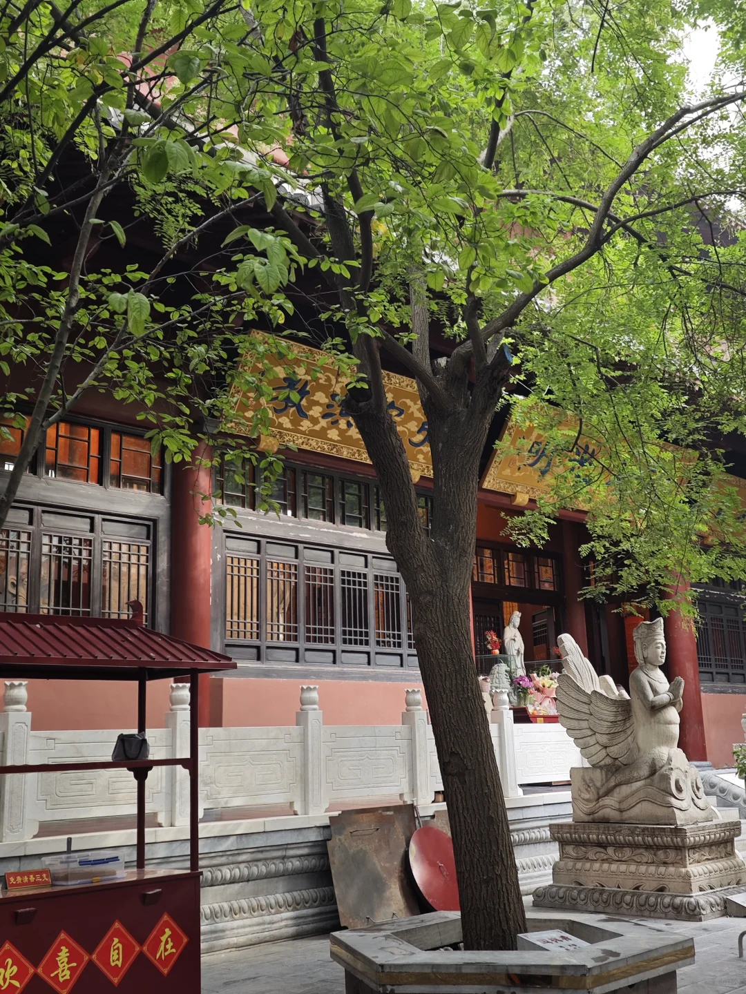 郑州旅游避雷贴💣