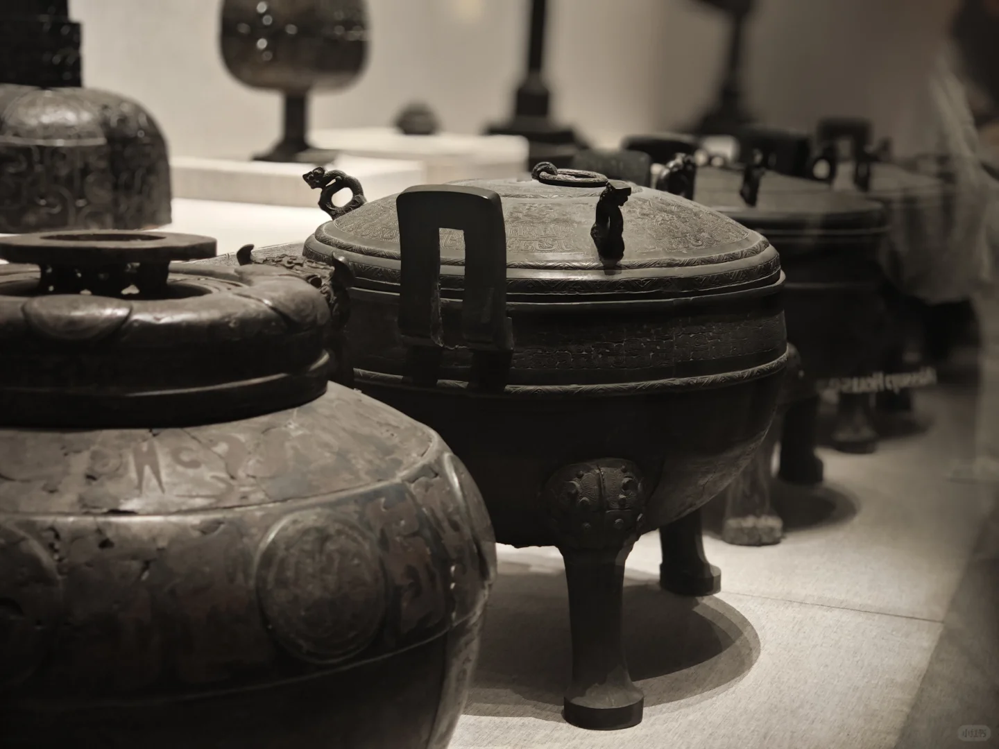 郑州旅游避雷贴💣