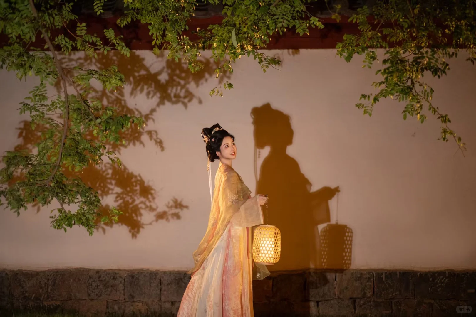 在洛阳花一百多拍的太惊艳啦！！！