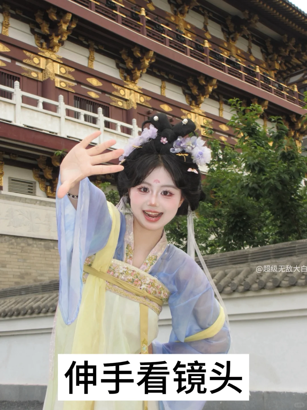 去洛阳我就这样拍！