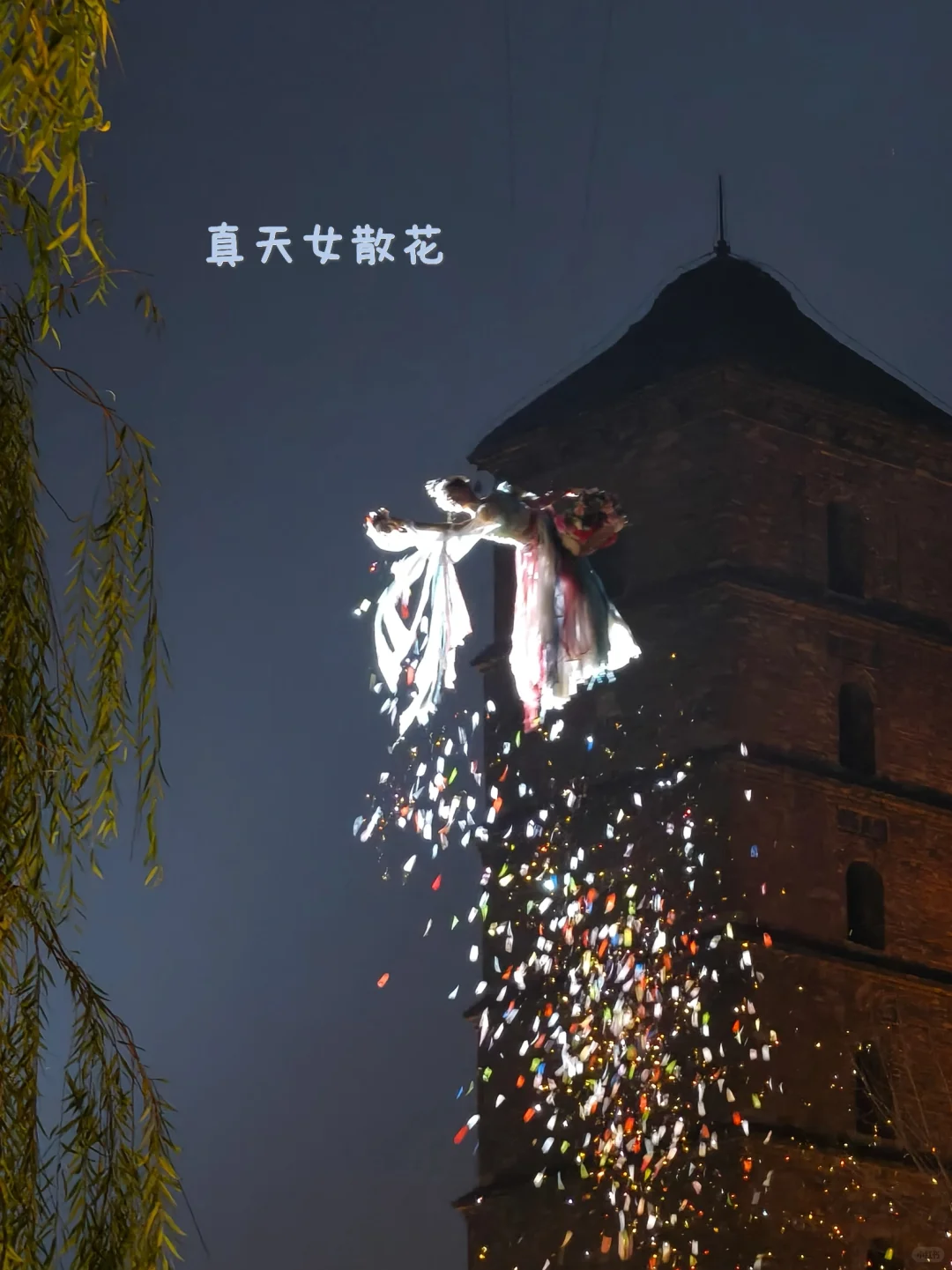 旅行plog🏮洛阳篇:一个人的走走停停