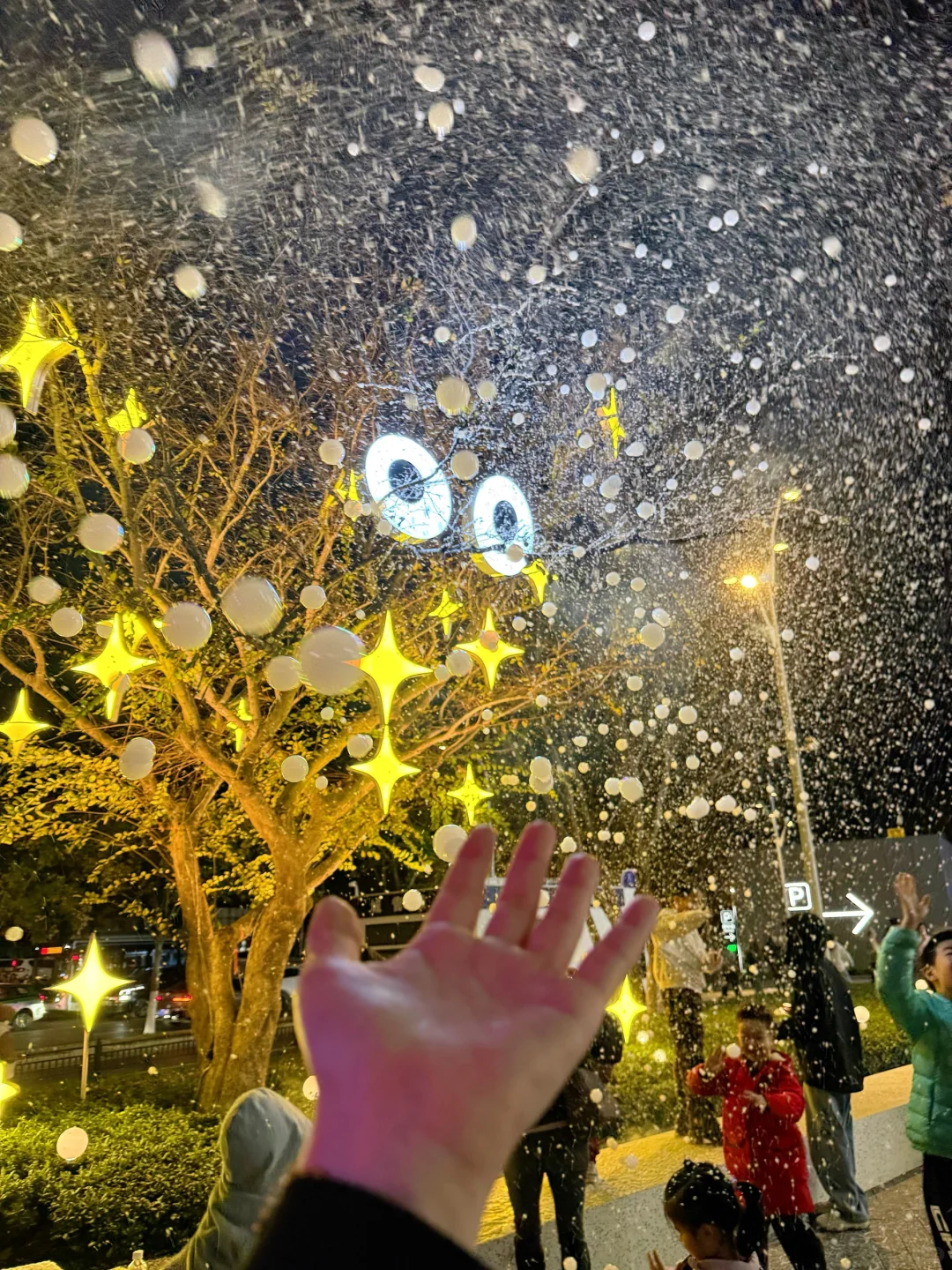 11.16郑州局部暴雪！！！太是冬天那味了！！