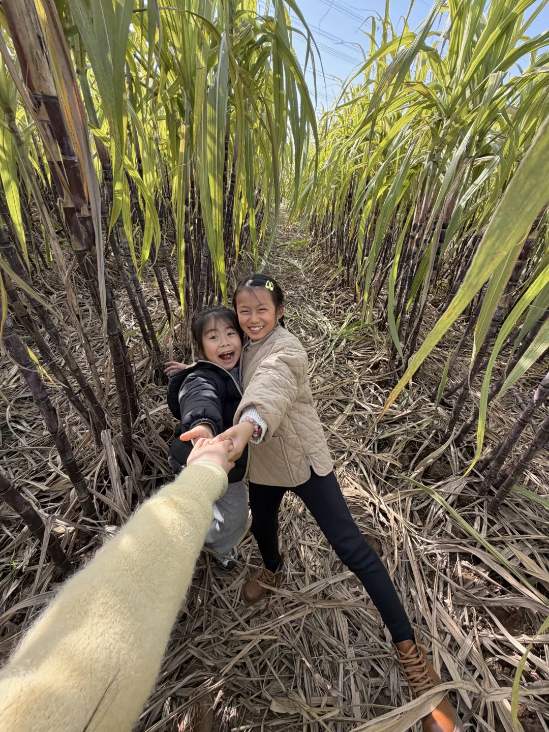 洛阳这个地方也太适合遛娃了吧！