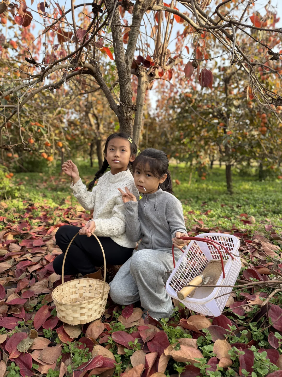 洛阳这个地方也太适合遛娃了吧！