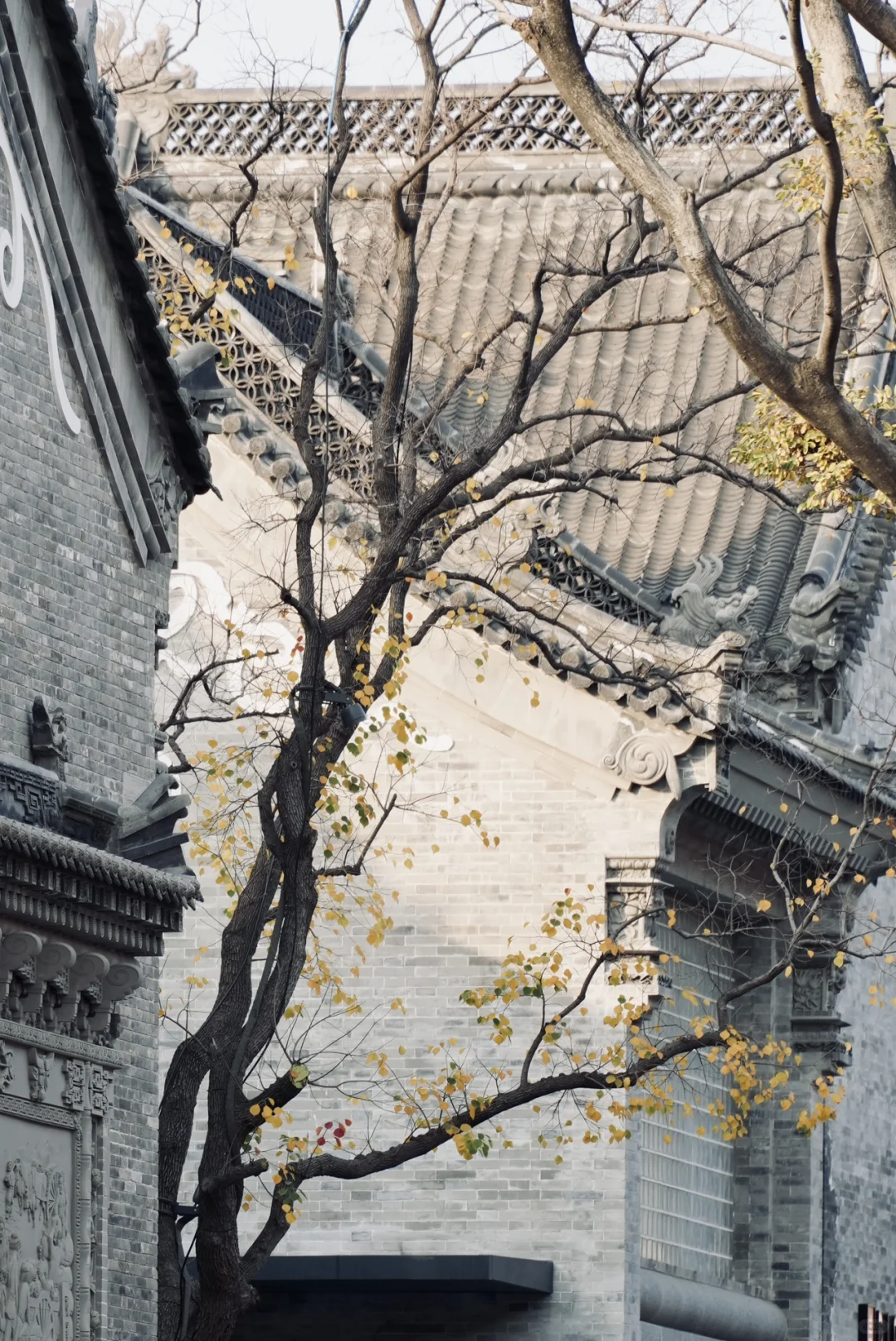 别问了，在郑州🍂