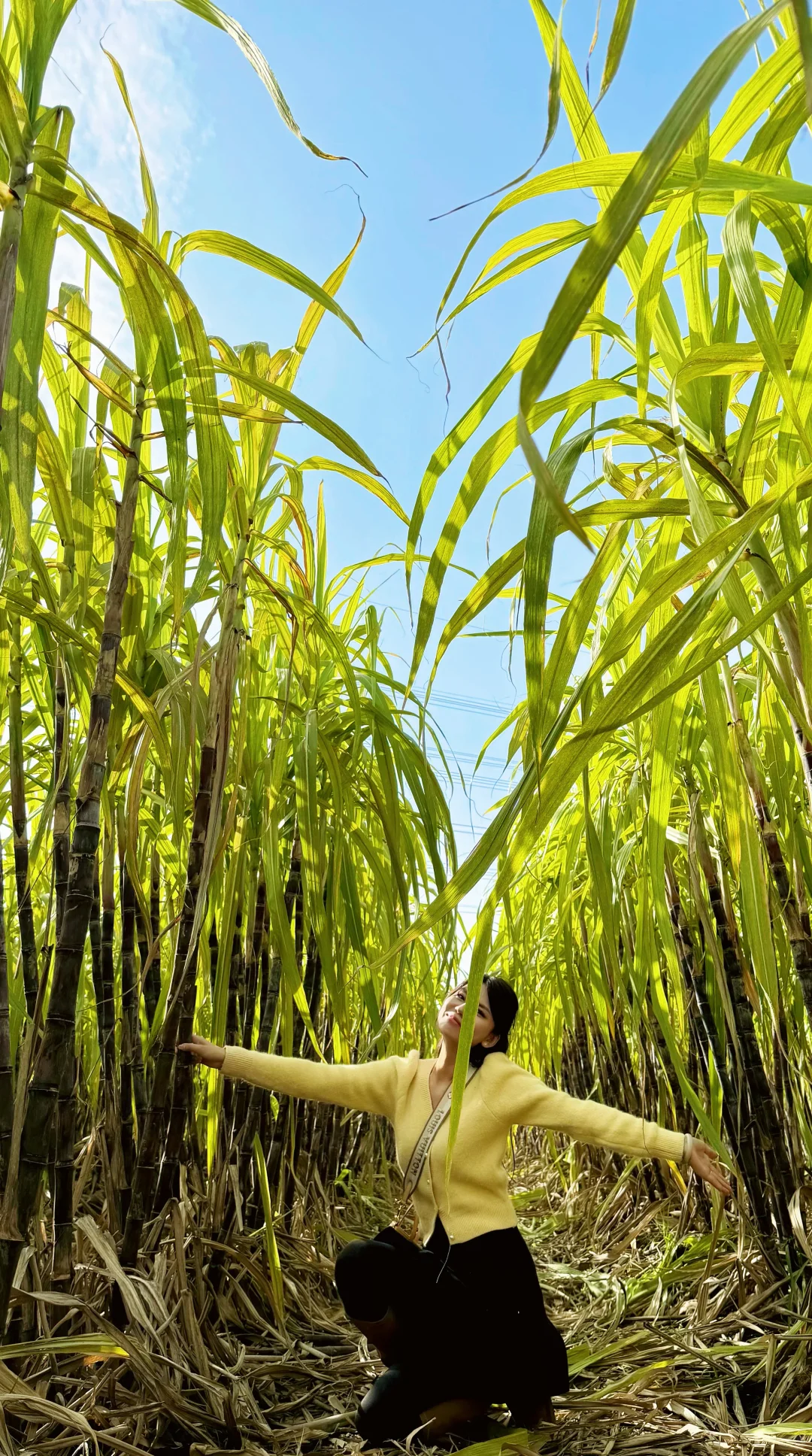 洛阳这个地方也太适合遛娃了吧！